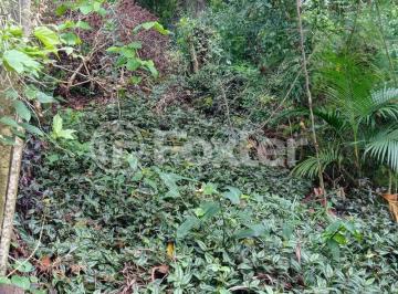 1712096045022.jpg · Terreno, 479 m², em Vila Nova