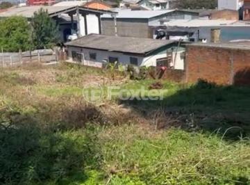 IMG_9720.jpg · Terreno, 2440 m², em São José