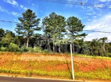 532533135_Ipanema.jpg · Terreno, 216 m², em Guarujá