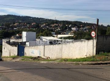 IMG_2641.JPG · Terreno, 1210 m², em Tristeza