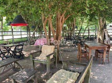 8.jpg · Fazenda / Sítio / Chácara, 51000 m², em Boa Vista do Sul