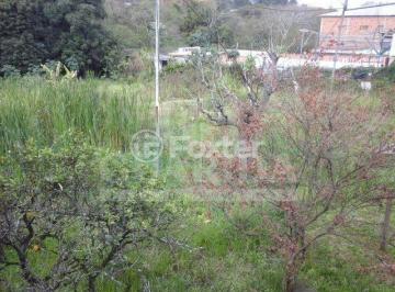 537150162_Ipanema.jpg · Terreno, 6500 m², em Hípica