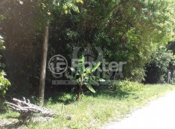 546331048_Ipanema.jpg · Terreno, 10000 m², em Chapéu do Sol