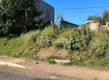 3.jpg · Terreno, 350 m², em Jardim Leopoldina