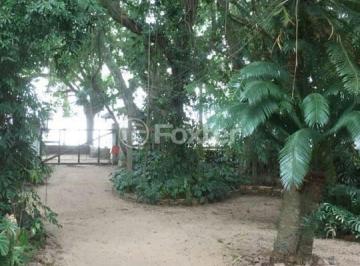 Foto dentro do terreno 148.jpeg · Terreno, 3 dormitórios, 966 m², em Ipanema