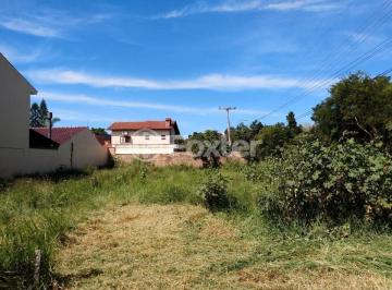 ip49Hk84ltZq1_436626074b17c13c97_o.jpg · Terreno, 500 m², em Serraria