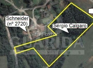 563246024_Ipanema.jpg · Terreno, 32500 m², em Belém Velho