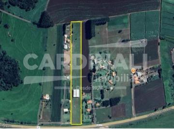 Rural · 15000m² · Área rural com 15.000,00 m2 com uma cobertura de 1.000,00 m2 Energia trifásica