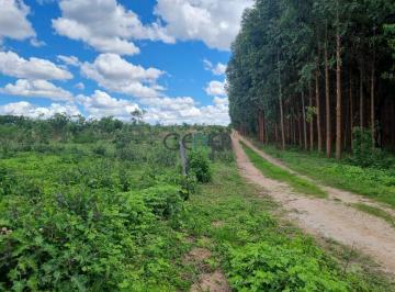 Rural · 70ha · EXCELENTE TERRENO DE 70 HA ÓTIMO PARA LAVOURAS EM ÓTIMO LOCAL