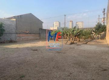 Terreno · 677m² · REF: 13.817 - Excelente terreno no bairro Santo Amaro, com 677 m² ,testada 20 metros, zoneamento - Z