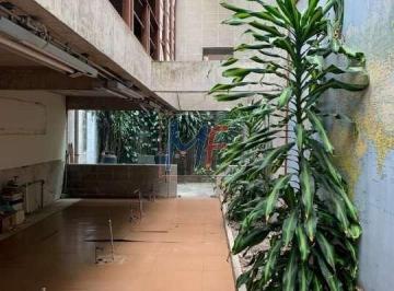 Casa · 155m² · 2 Quartos · Lindo sobrado na Vila Lusitânia, com 458 m² a.u., 155m²  construção, com 2 quartos, sala, cozinha, 2