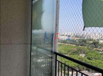 Apartamento · 62m² · 3 Quartos · Excelente apto no Piqueri, 62 m² a.u., 3 dormitórios (1 suíte), sala, cozinha, varanda, lavabo, 1 va