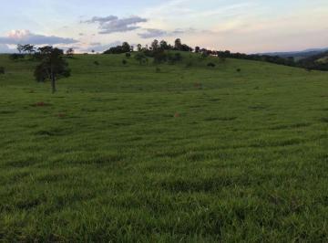 Rural , Itaúna · Fazenda  de 124 hectares, localizada a 10 km de Itaúna/MG.