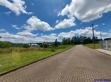34306306_g.jpg · 
                                Terreno à venda em São Ciro, Caxias do Sul
                        