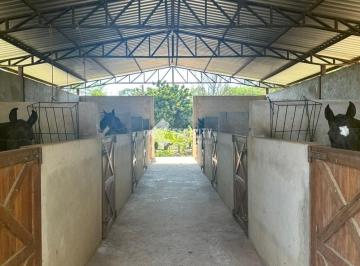 0 · Haras em Lagoinha - SP