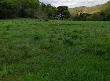 Rural , São João D'Aliança · Vendo fazenda em São João da Aliança/Go
