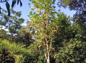 Rural de 1 quarto, Brasília · Fazenda Vale das Borboletas – Um Refúgio Natural a 100 km de Brasília