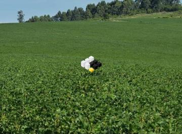 Rural · 267ha · Fazenda Área Rural a Venda em São Jerônimo