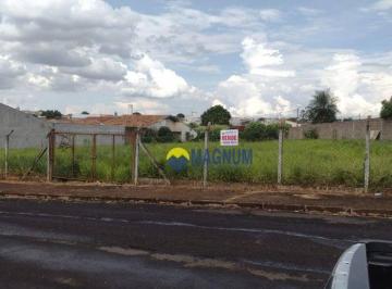 d61451f8d4a81ff659c093c9ca243ef9ef9a179b · Terreno à venda, 360 m² por R$ 210.000 - Parque das Flores II - São José do Rio Preto/SP