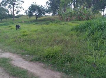 20240528092758236.jpg · Área Comercial/Residencial 37.284m² 250 Metros Para Av. Jacu Pêssego Itaquera