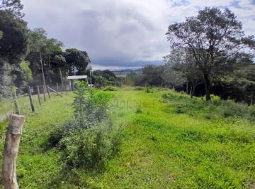 Rural · 29519m² · Chácara à venda,  29.519m2, TABATINGA, TIJUCAS DO SUL - PR
