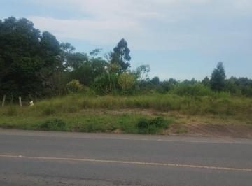 Terreno · 29040m² · 1 Quarto · Terreno à venda, 29.040 m2, SÃO JOSÉ DOS PINHAIS - PR