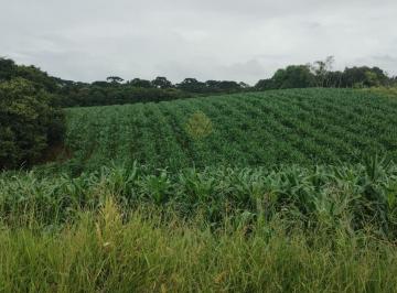 Rural · 25110m² · 1 Quarto · Chácara à venda, 25.110 m2, Cachoeira - São José dos Pinhais PR