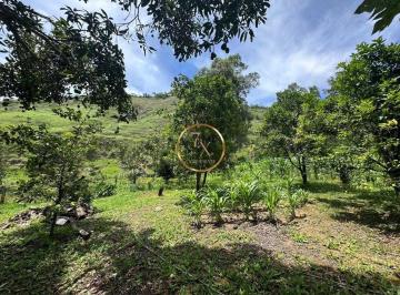Rural · 726000m² · 8 Quartos · 10 Vagas · Sítio à venda no bairro Centro - Miguel Pereira/RJ
