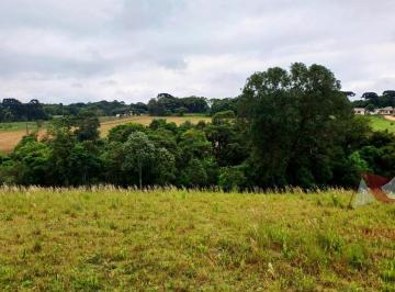 Rural , São José dos Pinhais · Excelente Chácara à Venda sem benfeitorias em São José dos Pinhais