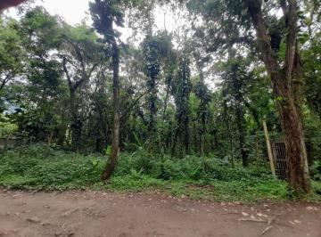 Imagem do Imóvel · Ubatuba, Horto área de terreno 2.000 m² com vista a rodovia