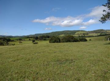 Rural , Gravataí · Sítio 19 Hectares - Santa Cruz - Gravataí - RS