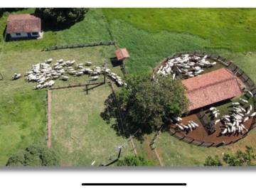 Rural de 3 quartos, Angatuba · Sua casa de campo com infra para pecuária