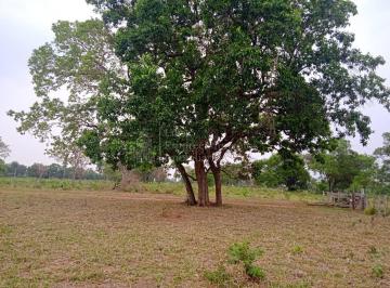 Rural · Fazenda à venda, 114.86 hectares, ZONA RURAL, NIOAQUE - MS