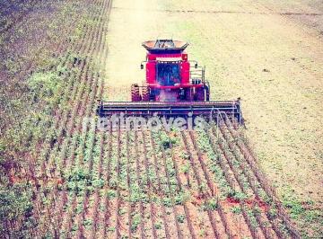 72c4593d-d166-4499-ae3c-ea3c76ba21e3.webp · Linda Fazenda de 125 hectares em Paracatu MG