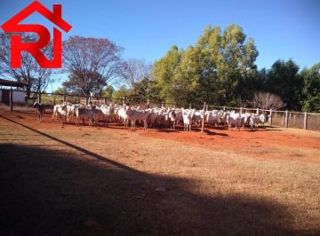 Foto 06 · Fazenda, Engenheiro Navarro, Engenheiro Navarro, MG