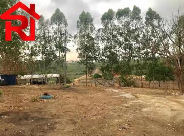 Foto 06 · Fazenda, Km 154, Vargem Grande, MA