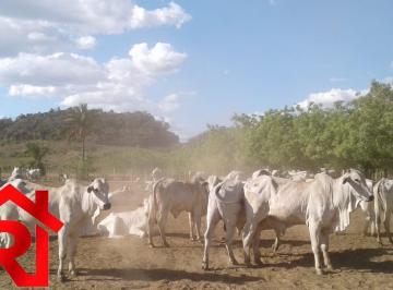 Foto 01 · Fazenda, Centro, Codó, MA