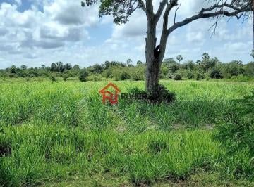 Foto 01 · Fazenda à venda em Magalhães de Almeida-MA com 219 hectares: 3 quartos, 1 sala, 1 banheiro, 219 hect