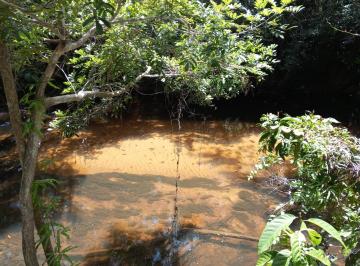 Terreno , Mata de São João · Excelente terreno com mais de 50m de beira Rio Imbassaí, reservado e privativo