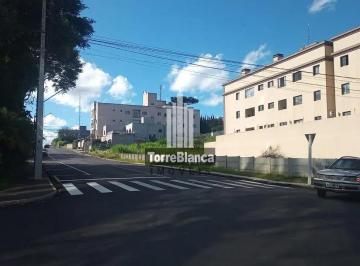 whatsapp-image-2024-12-11-at-16-40-531733948863707.jpeg · Terreno à venda, Jardim Carvalho, Ponta Grossa, PR