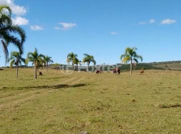campo1.jpg · Fazenda / Sítio / Chácara, 5 dormitórios, 2500000 m², em Agronomia