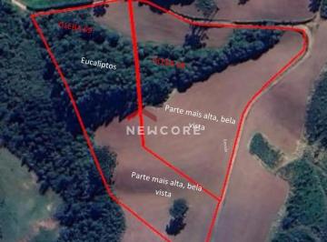 Terreno · 20639m² · 1 Quarto · Lote em  Rodovia Anibal Khury e 2km da PR-510 (Bizzinelli) - Estrada municipal Teodoro Durau - Campo