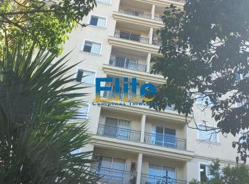 Foto 19 · Apartamento, Jardim das Paineiras, Campinas, SP
