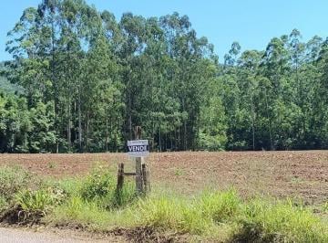Foto 01 · Sitio, Solitária Baixa, Igrejinha, RS