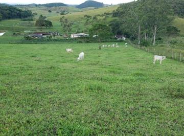 20250127155148837.jpg · Fazenda para Venda em Rio Bonito, Boa Esperança, 2 dormitórios, 1 banheiro