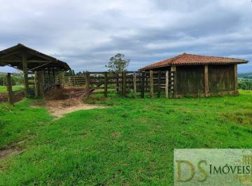 Foto 01 · Sítio à Venda em Itapetininga-SP: 10,34 Alqueires de Pura Qualidade!