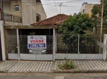 Terreno · 240m² · Terreno à venda - Vila Camilópolis - Santo André/SP