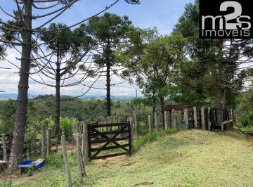 Foto 17 · Terreno de 17,56 alqueires à venda em Cunha-SP, bairro Três Pontes, pasto, nascentes, vista e clima