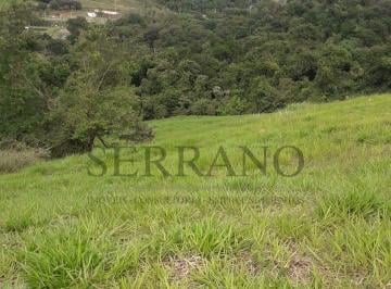 Comercial · 20000m² · Area, Monte Alegre, Vinhedo, SP