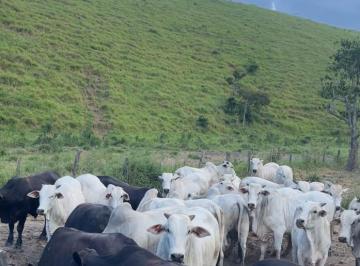 Foto 01 · Fazenda, Sambê, Rio Bonito, RJ